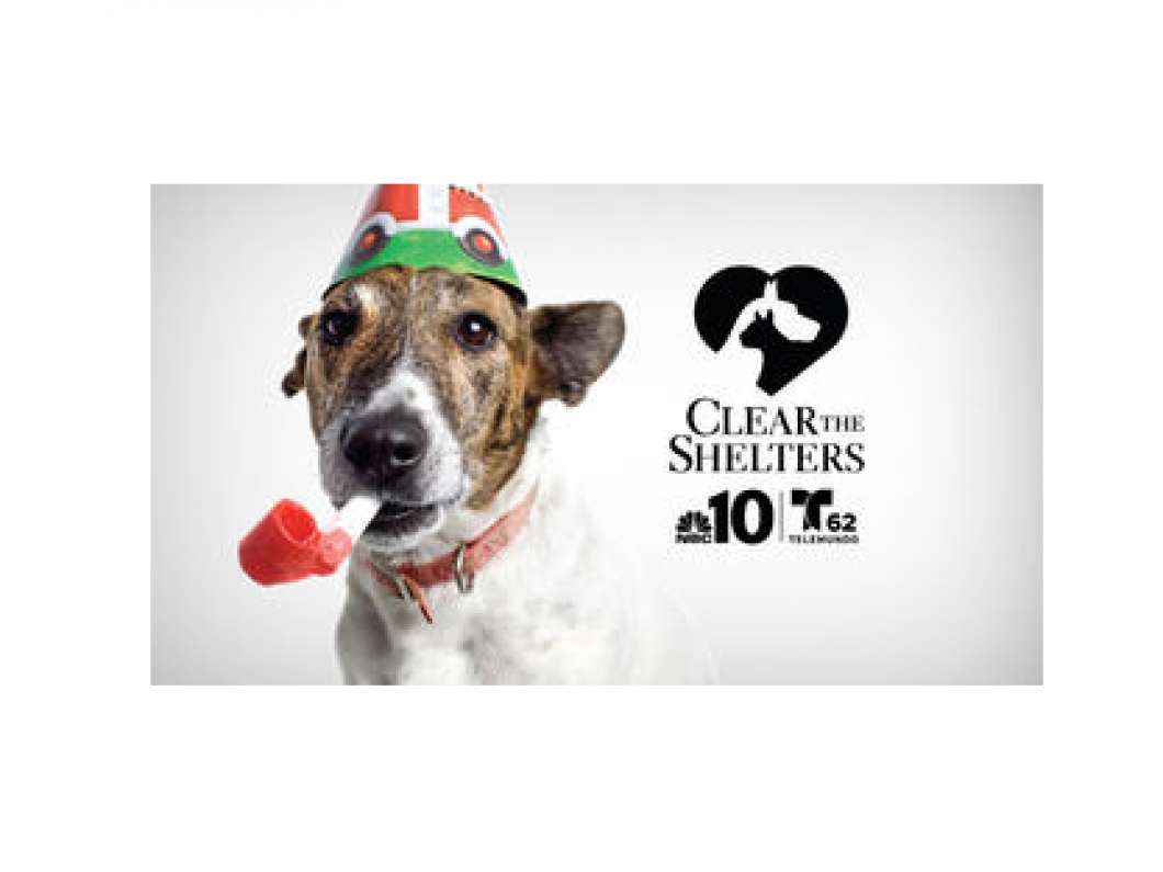 Clear the Shelters Day 2015 | Humane Society of Atlantic County